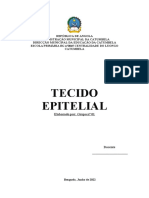 Tecido Epitélio