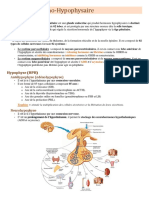 Axe Hypothalamo-Hypophysaire (Resume)