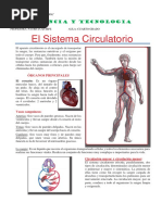 Sistema Circulatorio-CUARTO