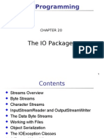 Java Programming: The IO Package