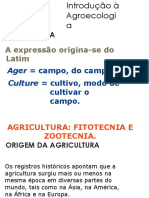 Aula de Permacultura de 1ano