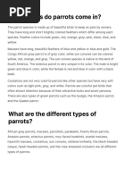 Different Types of Parrots