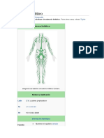 Sistema Linfático