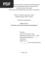 Разработка Стратегии и Тактики Нового Предприятия