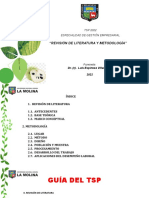 Del TSP Revisión Literatura y Metodologia