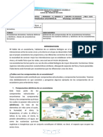 Guia 6° Ambiental Julio