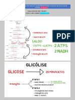 Glicólise