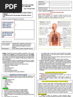 Ficha de Sistema Respiratorio