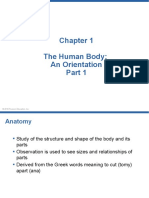 The Human Body: An Orientation: © 2018 Pearson Education, Inc