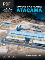 Atacama: Conoce Una Planta