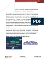 TEMA. Estrutura y Funcion Del Sistema Nervioso