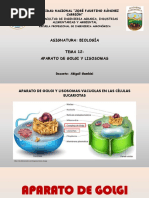 Tema 12. Aparato de Golgi y Lisosomas