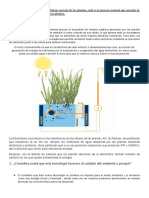 Examen Final Biologia