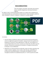 Biocombustíveis Trabalho