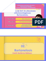 Cuidados de Enfermería. Bartonelosis