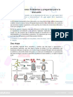 Respuestas Semana 9