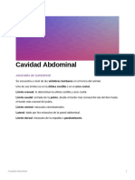 Cavidad Abdominal