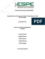 Acosta, Almeida, Álvarez, Álvarez, Amagua 5225 Laboratorio Platelmintos