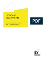 Ey Financial Statements 2021 en