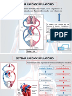 Aula 2 Biofísica Do Sistema Cardiovascular