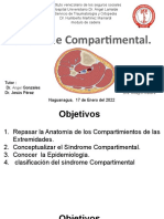 Sindrome Compartimental