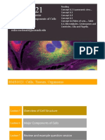 Cells, Tissues, Organisms Lecture 6: Major Components of Cells Dr. Mike Mcdonald Mike - Mcdonald@Monash - Edu