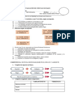 Evaluacion Ii 3ro