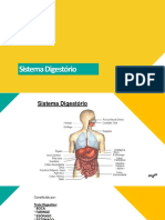 Sistema Digestório