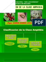 Clasificaciondela Clase Amphibia