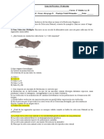 Guía de Evolución 1 Medio + Darwin - Lamarck + Video Seleccion Natural (Resuelta)