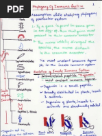 Phyligeny of Immune System Immunology)