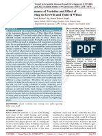 Performance of Varieties and Effect of Date of Sowing On Growth and Yield of Wheat