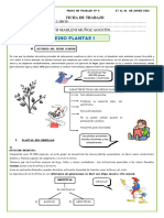 FICHA N°5 El-Reino-Plantae-Características