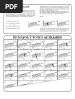 Acordes de Guitarra y Tonos Auxiliares