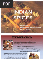 Indian Spice - Final