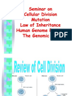 1.2 Cell Division