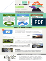 S4-Tarea 4. - 1 Elaboración de Una Infografía Sobre Adaptaciones Vegetales o Animales