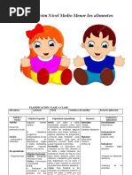 Planificación Medio Menor Los Alimentos - Doc B.N.O