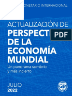 Informe FMI Julio 2022