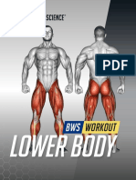 Built With Science Lower Body Workout