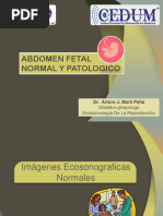 Abdomen Fetal Normal y Patologico