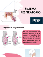 Sistema Respiratorio