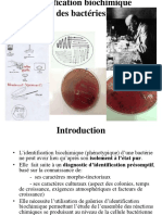 Identification Biochimique Merad - Pp-Converti