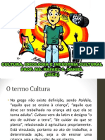 Cultura, Ideologia e Industria Cultural