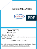 Terminos Semejantes