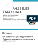 10-16 Principales Ejes Endocrinos