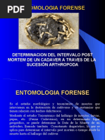 Estomologia Forense