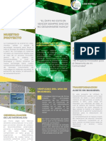 Folleto Brochure de Servicios Empresa Profesional Amarillo