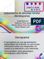 Familiograma 110824190817 Phpapp01