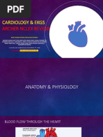 Cardiology & Ekgs: Archer Nclex Review